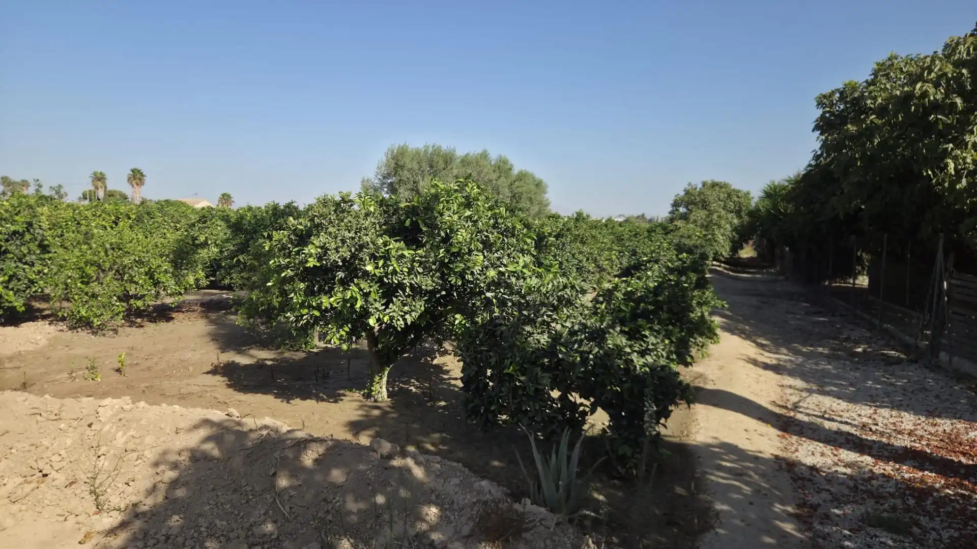 Casa en venta en Daya Vieja, imagen 8