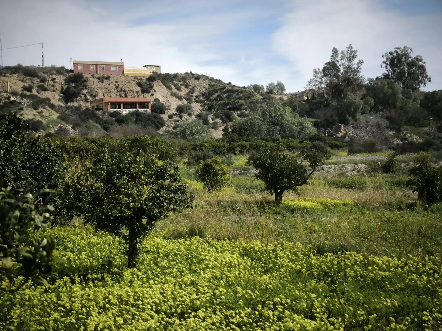 Lands and plots for sale in Gádor, imagen 3