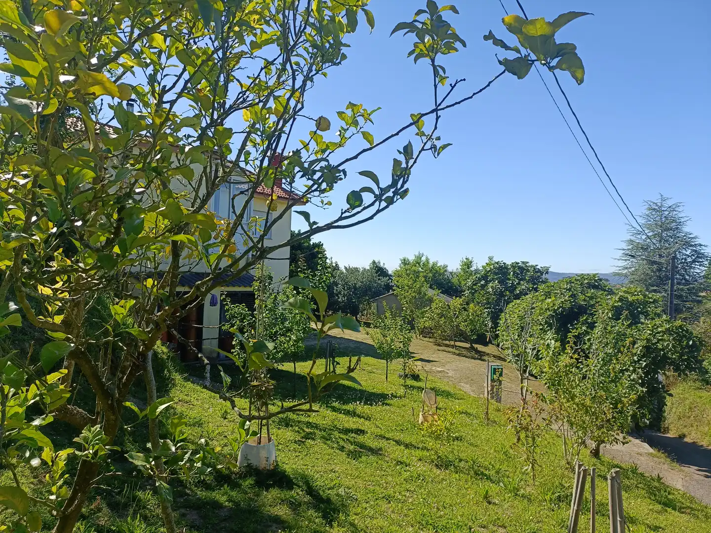 Haus mit Garten zum Verkauf in Currás, imagen 10