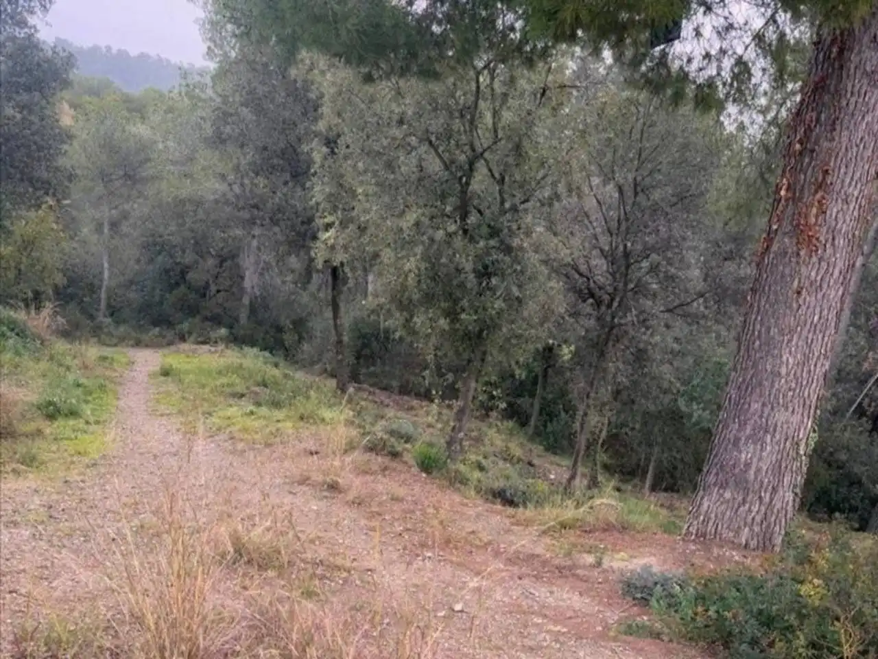 Terreno rústico en venta en Viladecavalls, imagen 5