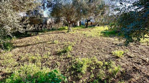 Photo 3 of House or chalet for sale in El Higuerón, Córdoba