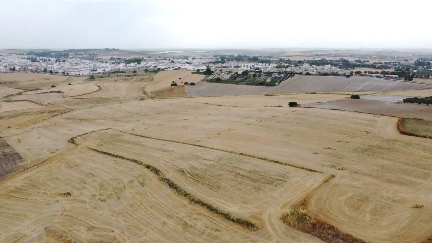 Lands and plots for sale in Lebrija, imagen 8