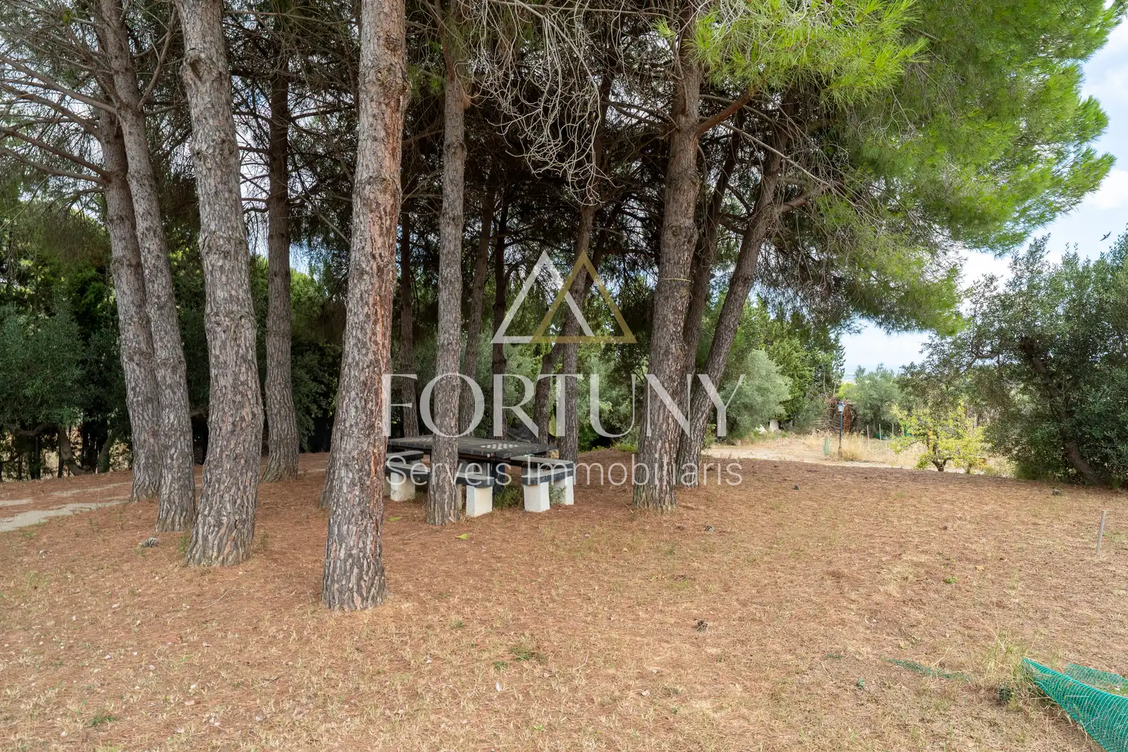 House with pool for sale in Carrer del Tià, imagen 11