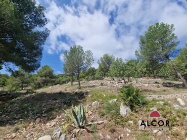 Terrenos y solares en venta en SEGORB 2