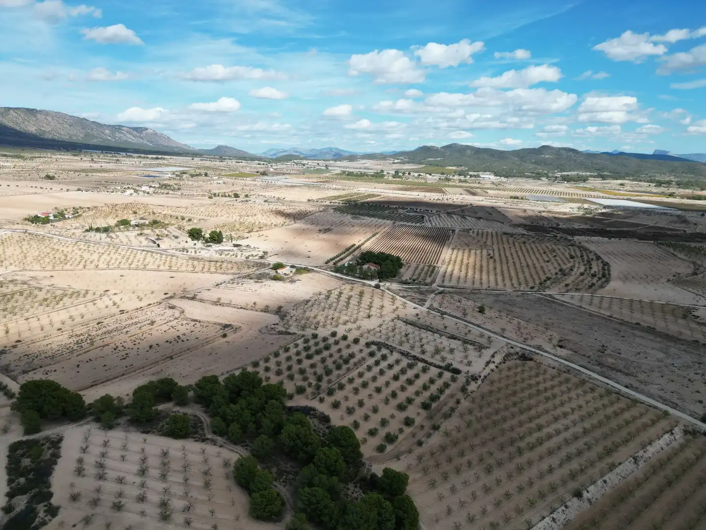 Terreno residencial en venta en El Pinós / Pinoso, imagen 5