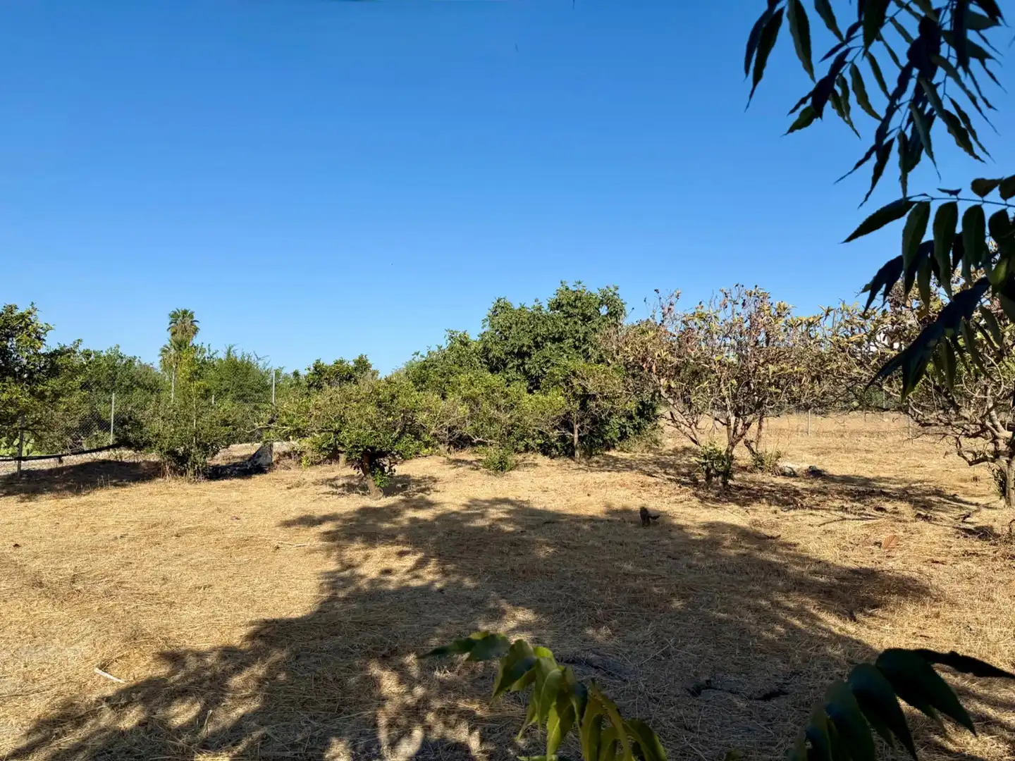 Terrenys i solars en venda a Coín, imagen 8