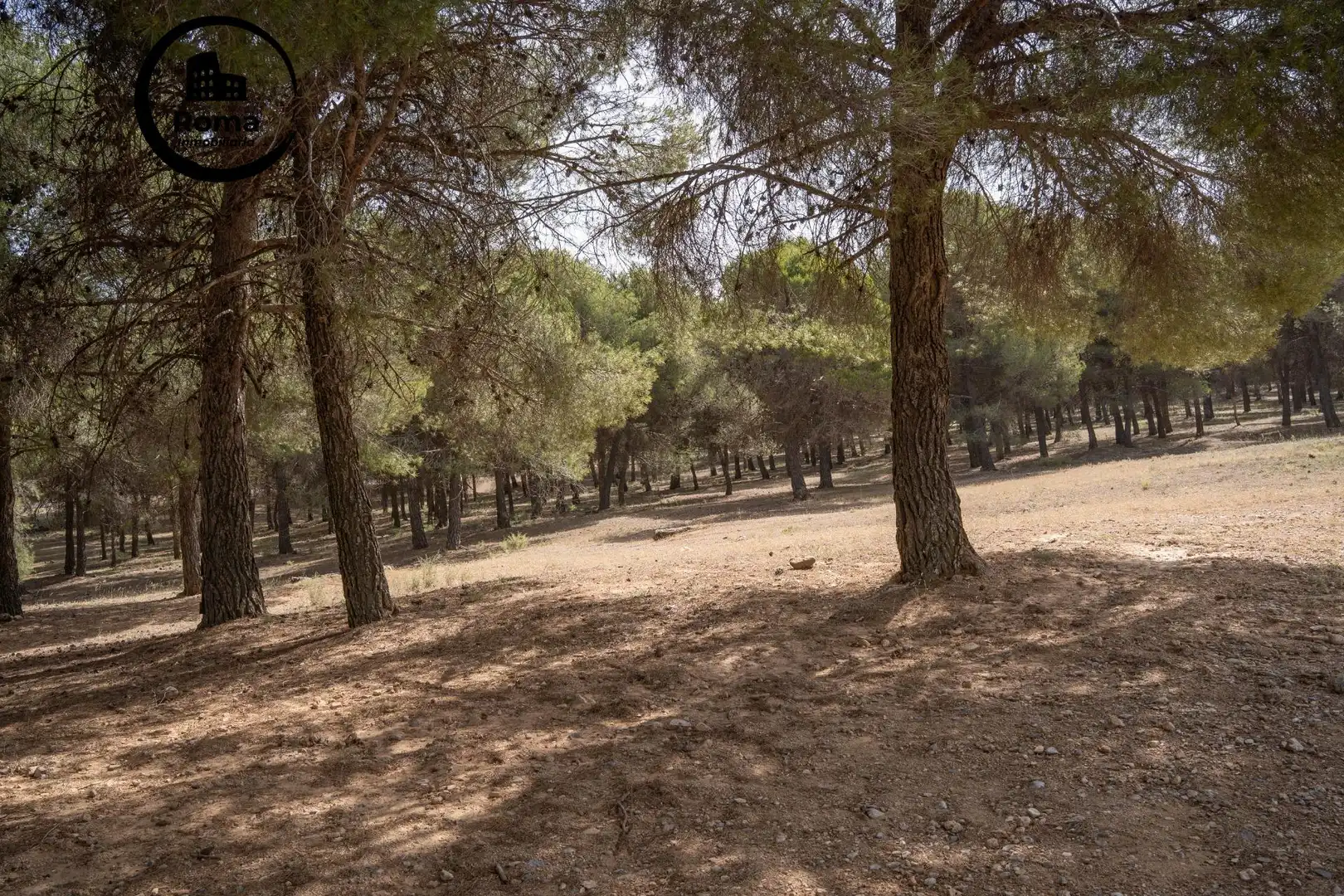 Casa o xalet en venda en La Zubia amb Aire condicionat, Calefacció i Jardí privat