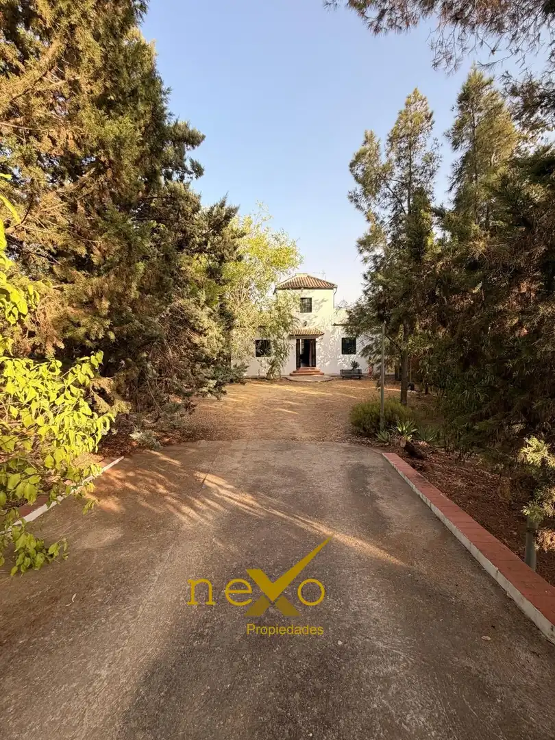 Chalet con terraza en venta en Carmona, imagen 40
