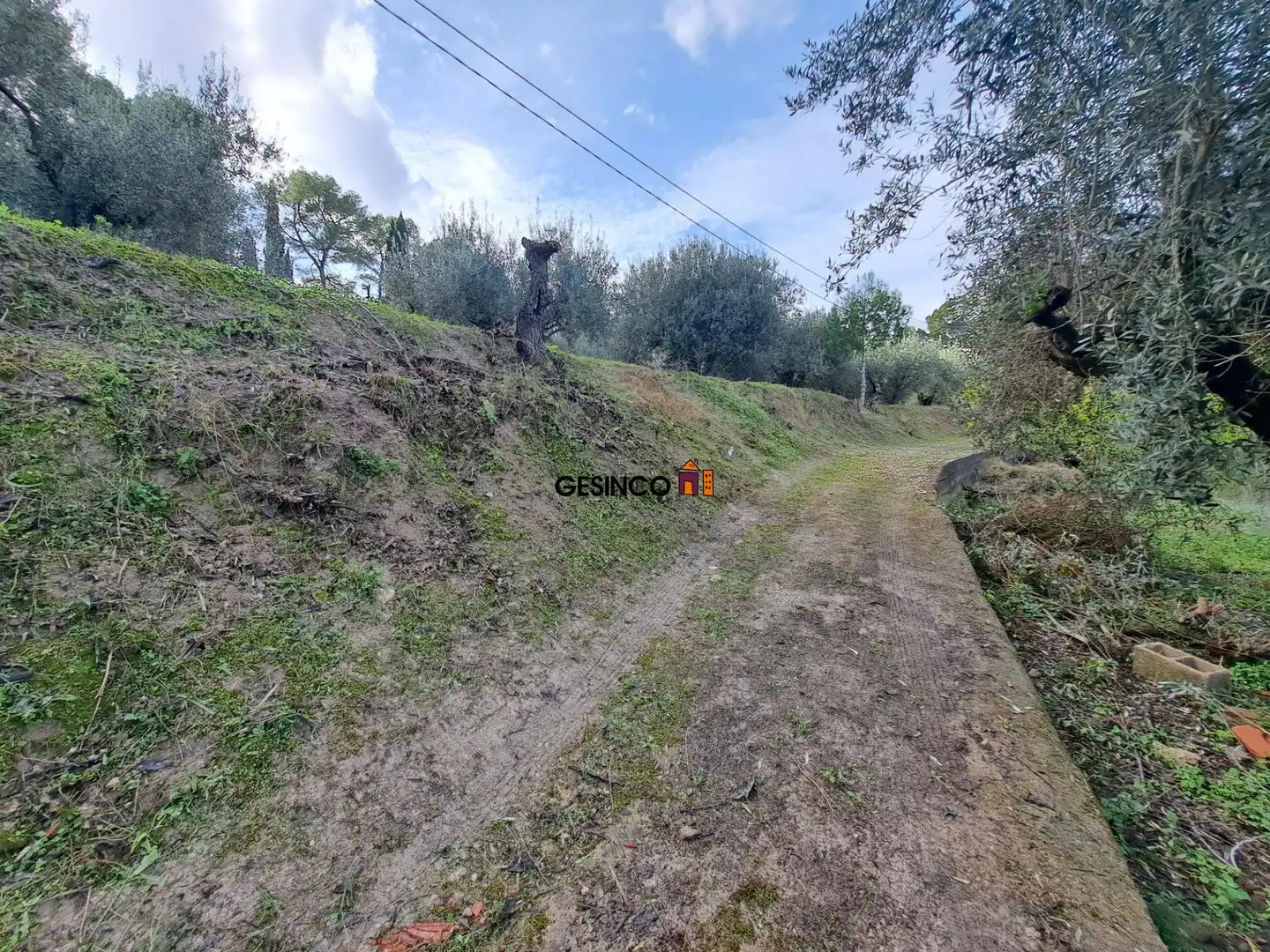 Casa o xalet en venda en Xàtiva amb Jardí privat i Terrassa