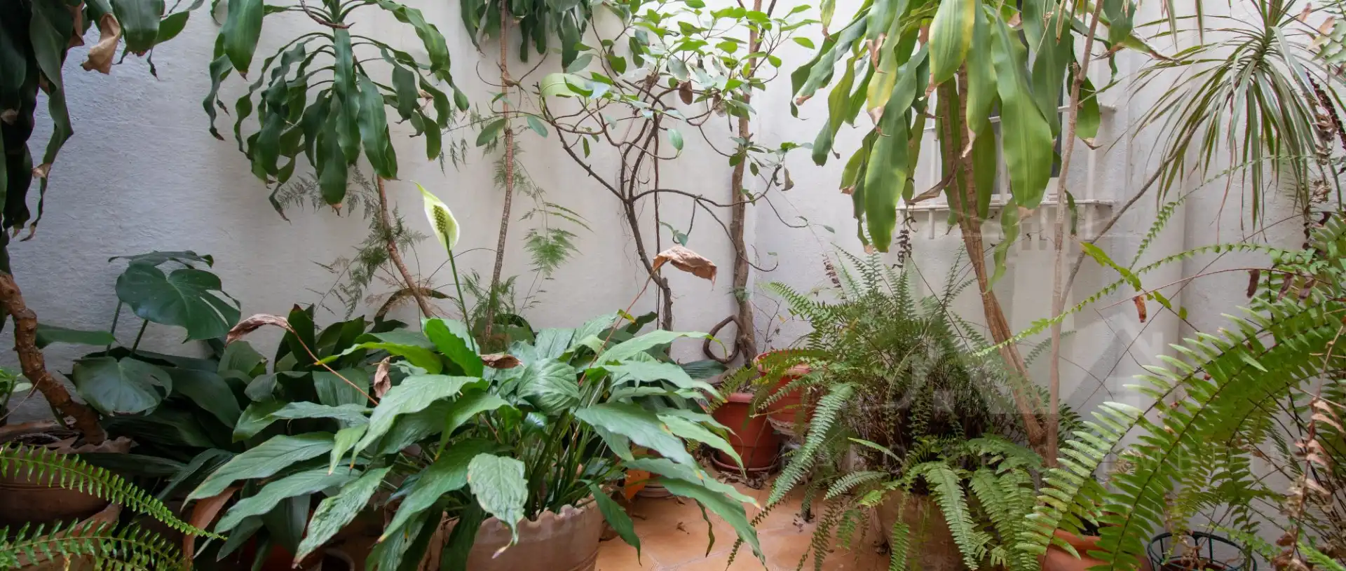 Garden of Flat for sale in Jerez de la Frontera  with Air Conditioner and Terrace