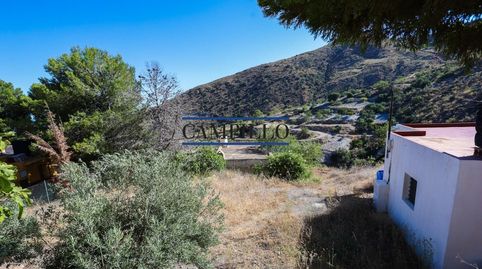 SE VENDE PARCELA RUSTICA  CORTIJO EN LA ZONA DE LOS PEREZ, immagine 4