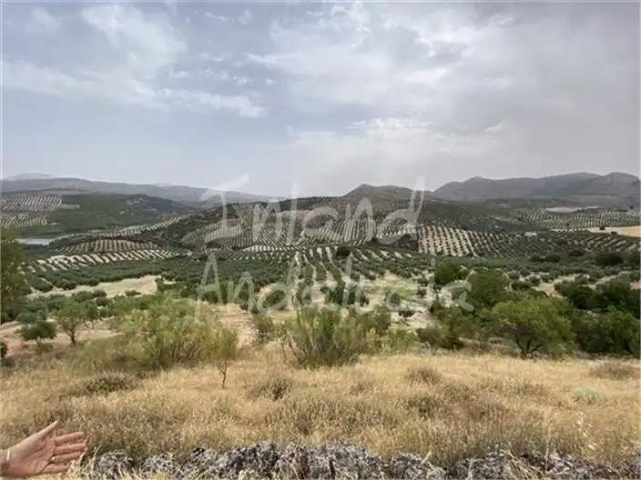 Terreni e lotti in vendita a Colomera, imagen 15
