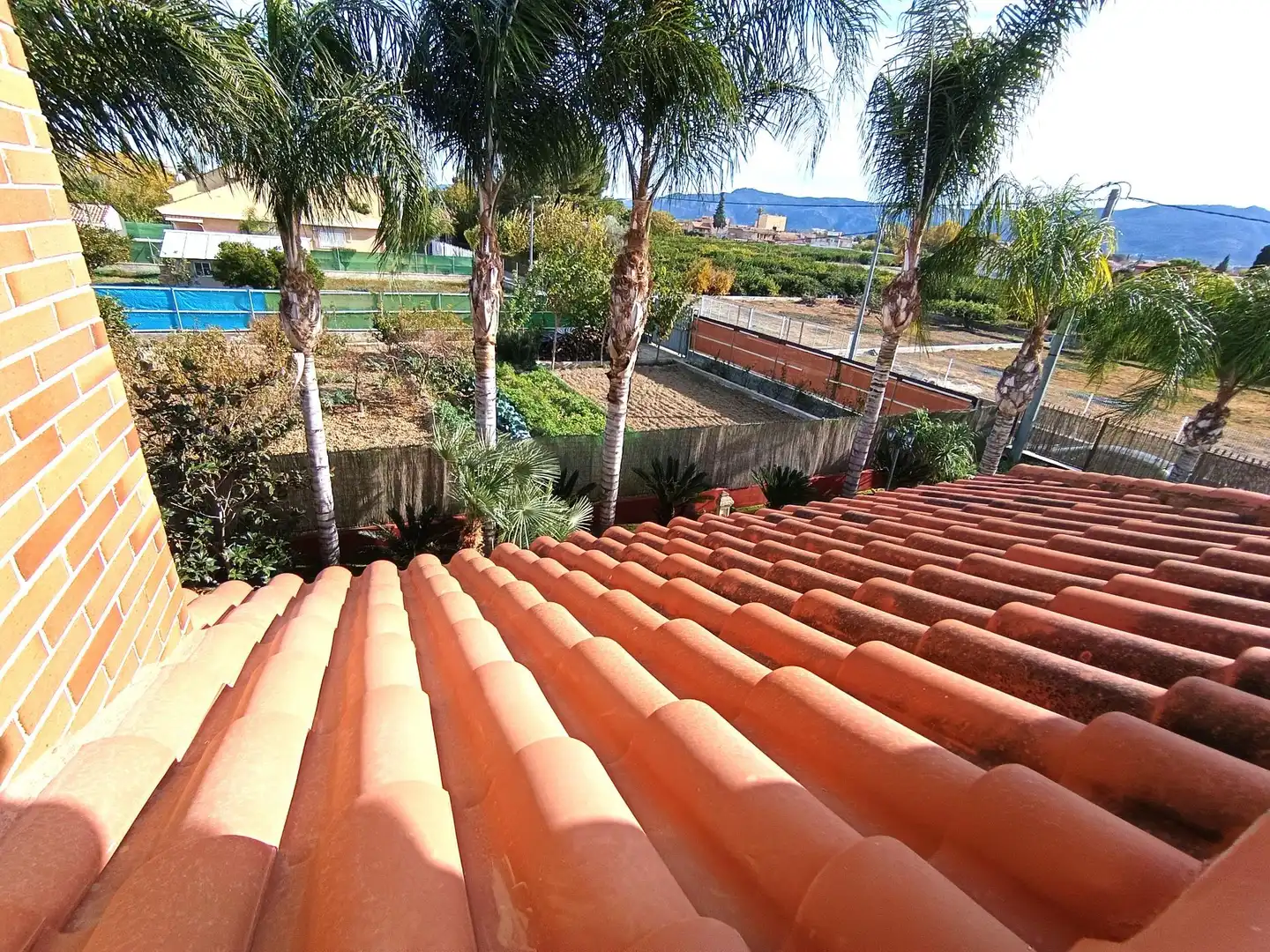 Vista exterior de Casa o xalet en venda en Murcia amb Aire condicionat, Calefacció i Jardí privat