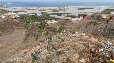 Photo 5 of Land for sale in Cristobal Colon, Gáldar pueblo, Las Palmas