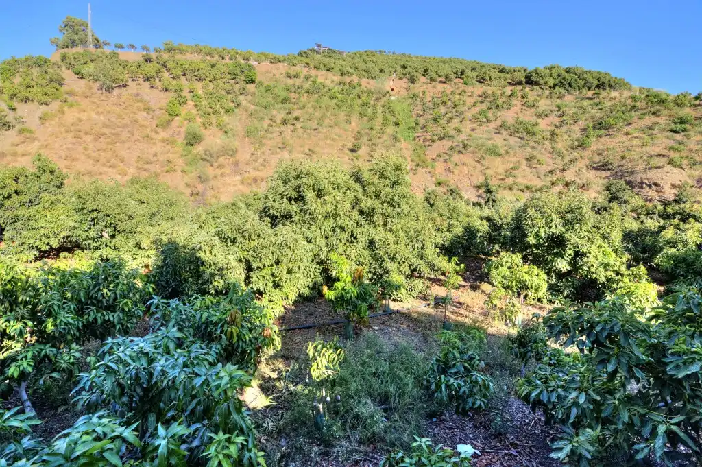 Casa rústica amb jardí en venda a Rubite, imagen 39