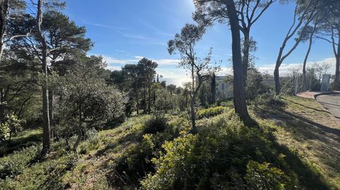 Foto 5 de Piso en venta en Llafranc, Palafrugell