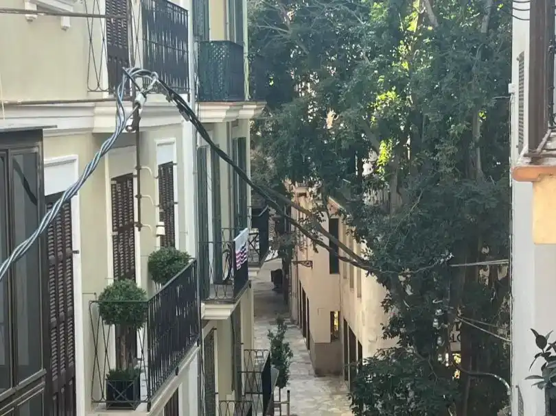 Vista exterior de Casa adosada en venta en  Palma de Mallorca con Balcón