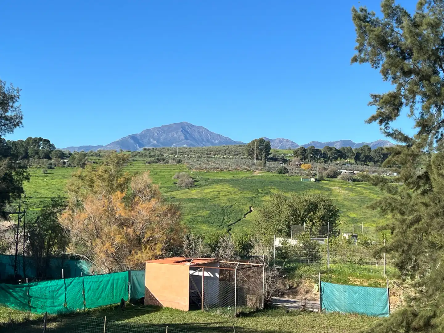 Villa mit Pool zur Miete in Calle Málaga 5, imagen 35