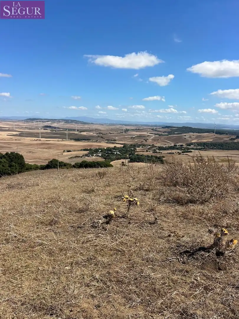 Terreny rústic en venda a Vejer, imagen 5