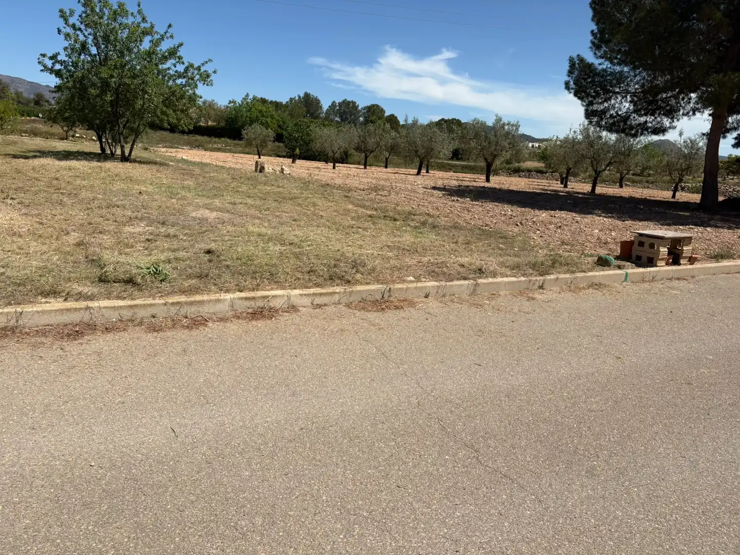 Residential land for sale in El Pinós / Pinoso, imagen 7