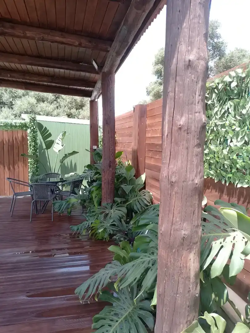Terrace of Houses for rent in Vejer de la Frontera
