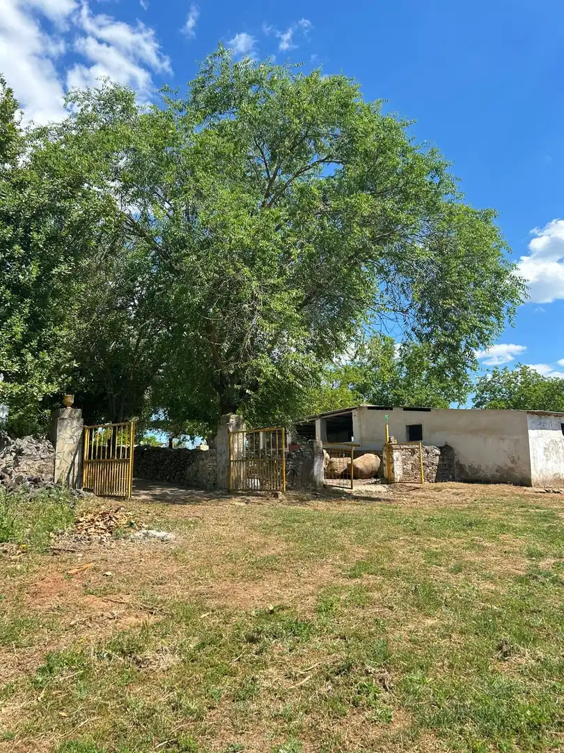 Finca rústica en venta en Alanís
