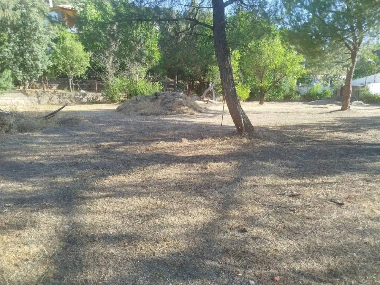 Lands and plots for sale in Calle Ctra Ruidera La Ossa AB-612, imagen 4