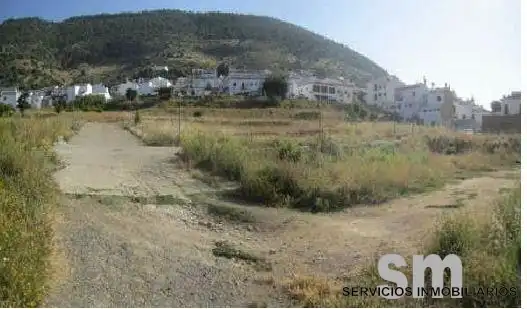 Terreny residencial en venda a Algodonales, imagen 3