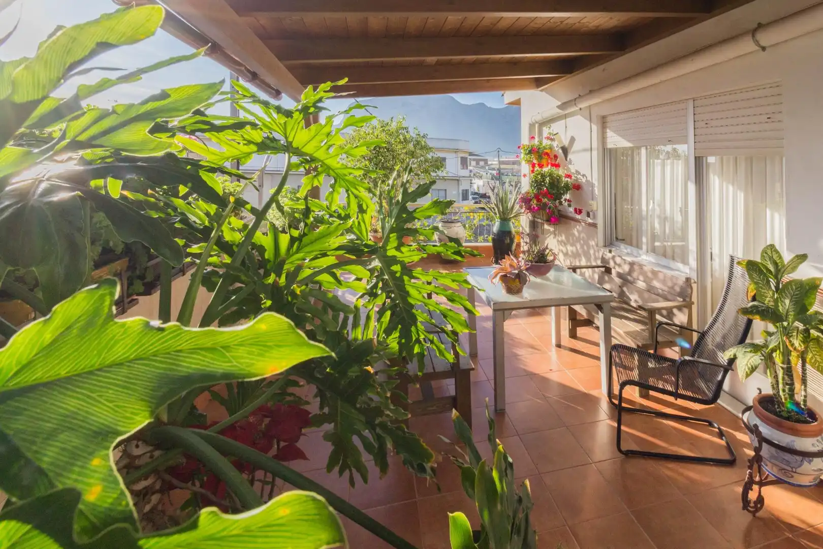 Terraza de Casa o chalet en venta en Cox con Terraza, Trastero y Balcón
