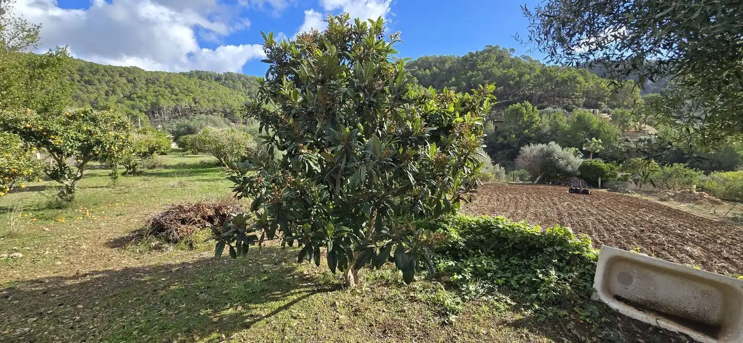 Casa rústica con jardín en venta en Andratx pueblo, imagen 3