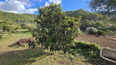 Foto 3 de Finca rústica en venta en Andratx pueblo, Andratx