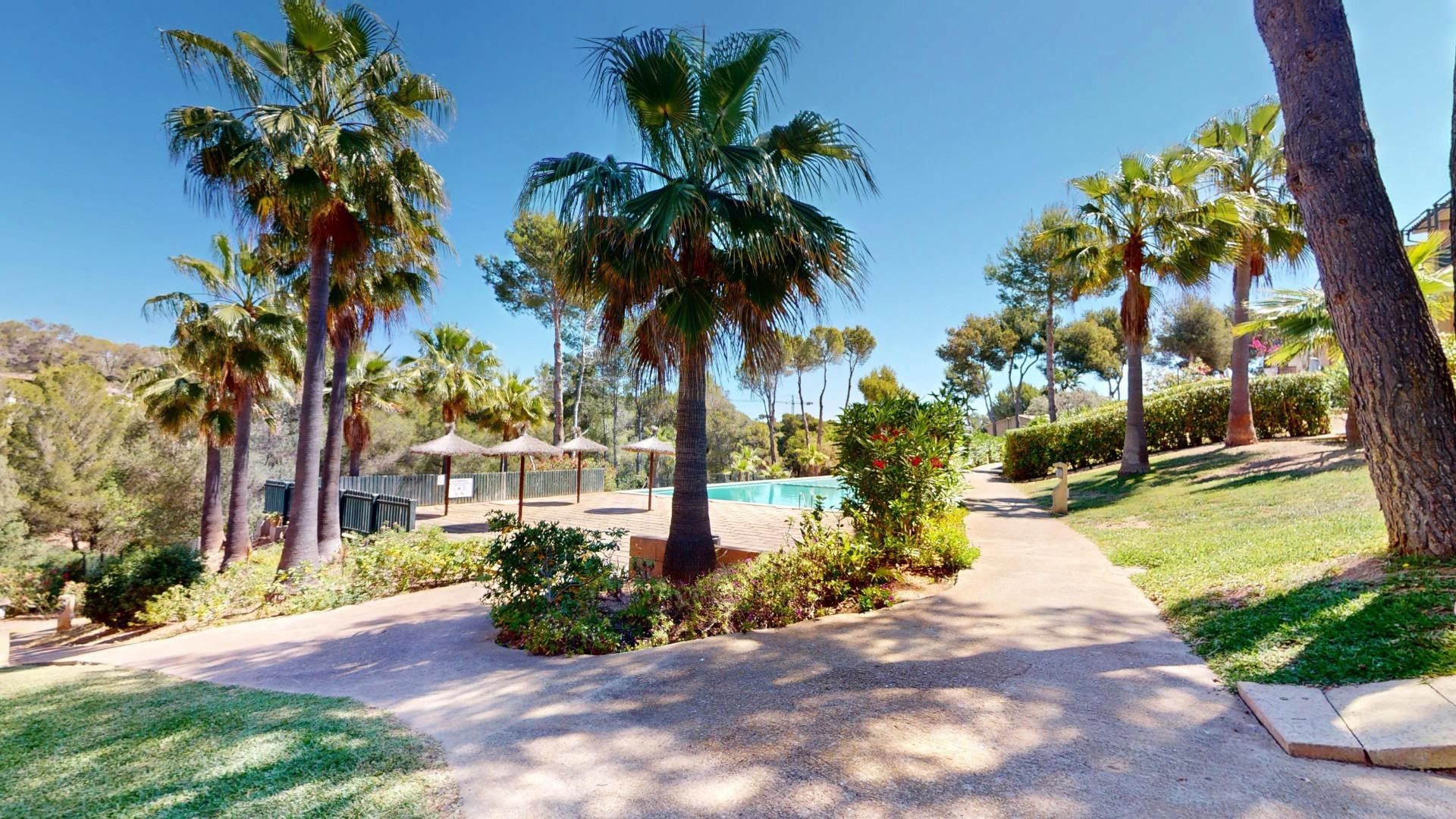 Piscina de Casa adosada en venda en Calvià amb Jardí privat, Terrassa i Balcó