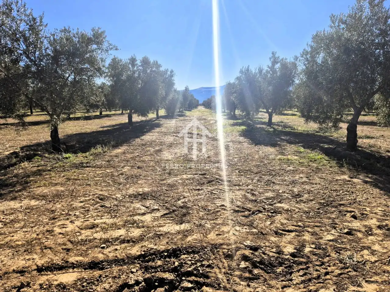 Lands and plots for sale in Lanteira, imagen 34