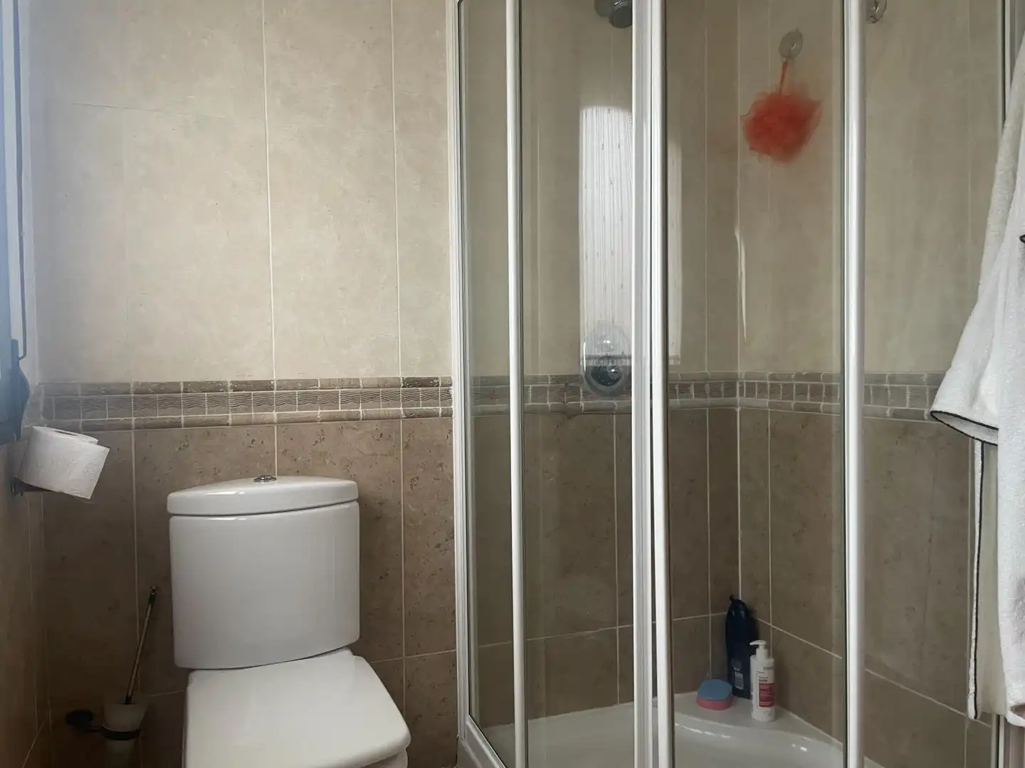 Baño de Casa o chalet en venta en La Lastrilla  con Jardín privado, Terraza y Trastero