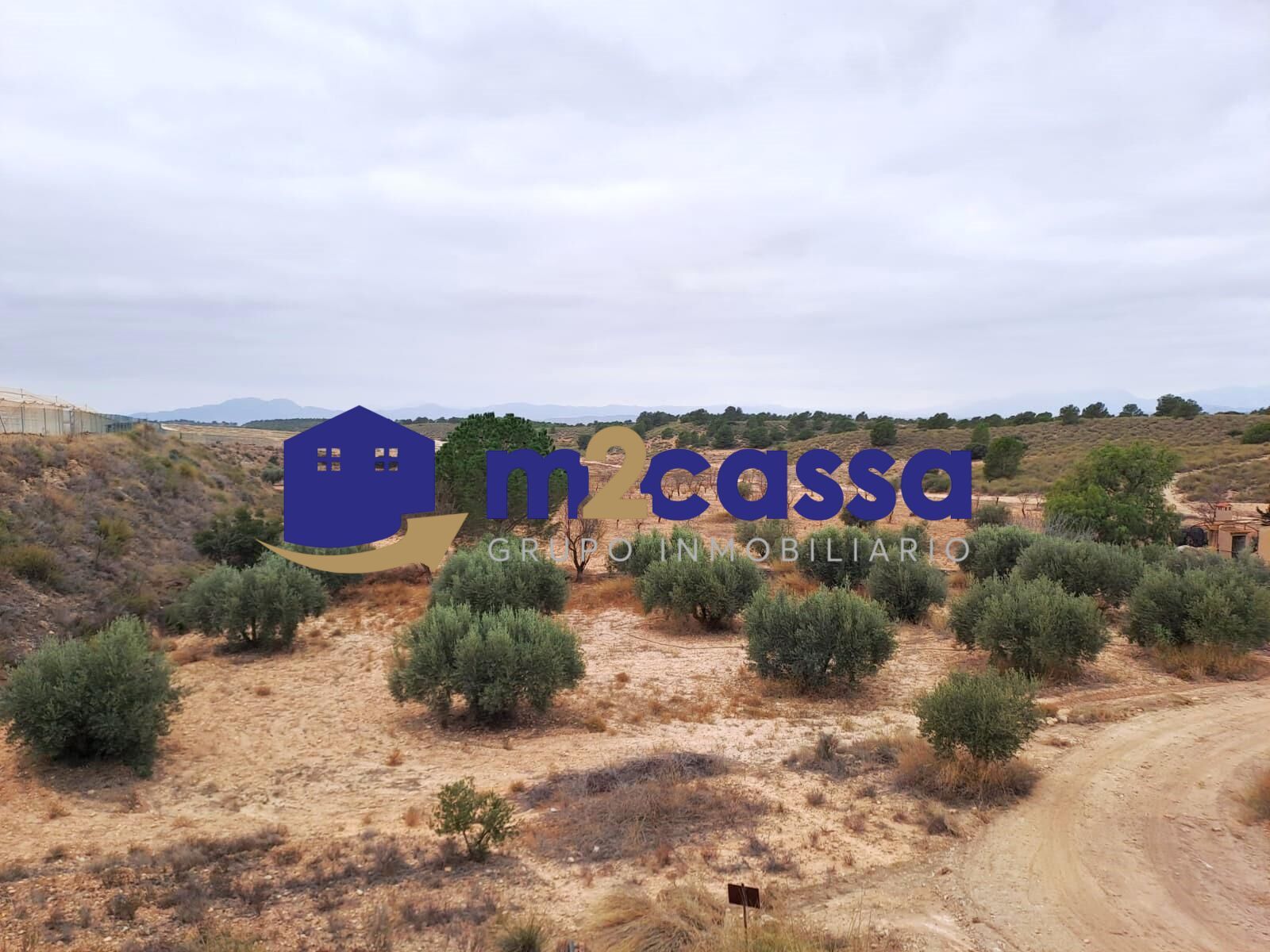 Finca rústica en venda en Aledo amb Terrassa