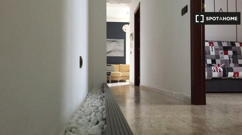 Photo 3 of Apartment to share in Isleta, Las Palmas