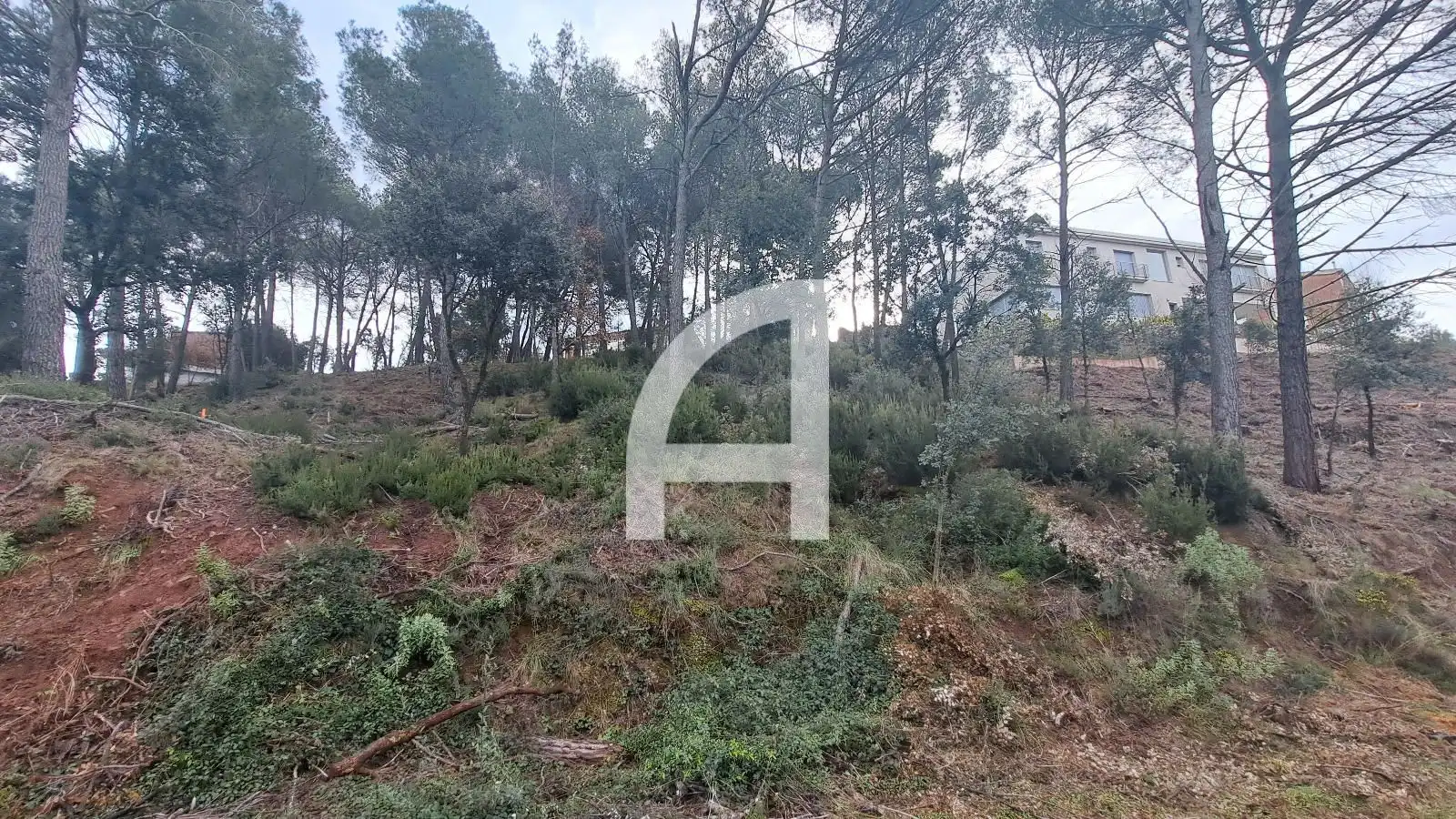 Land for sale in Matadepera