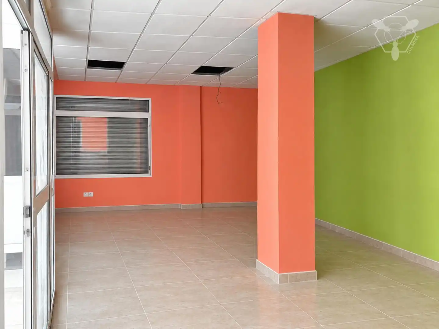 Business premises for sale in Isla Chica