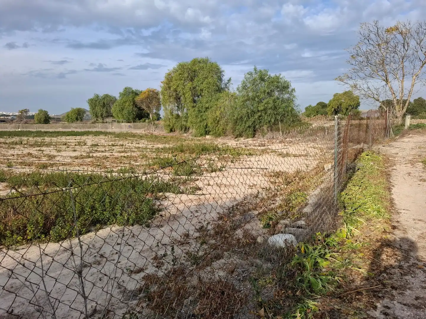 Terreno en venta en Guardamar del Segura