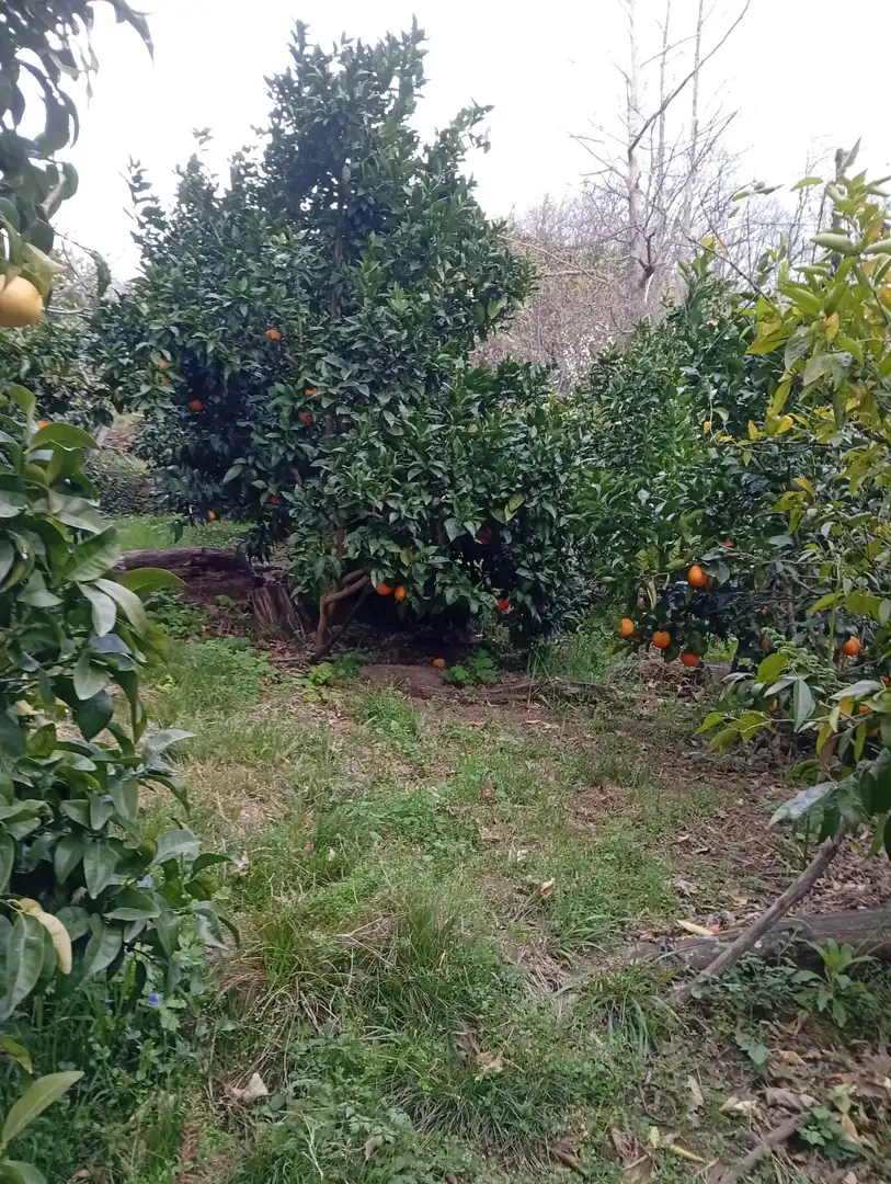 Terreni e lotti in vendita a Valverde de la Vera, imagen 101