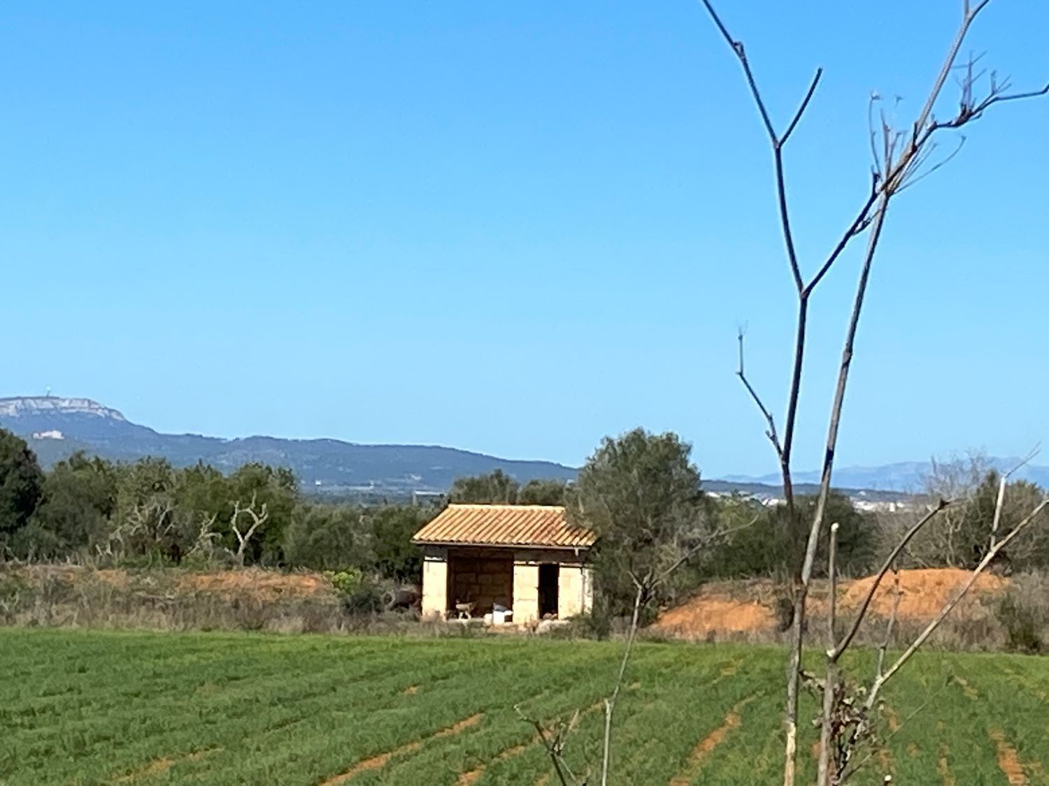 Residential for sale in Felanitx Poble