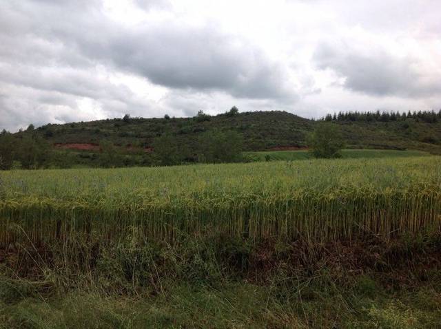 Terreno en Venta en Santurdejo