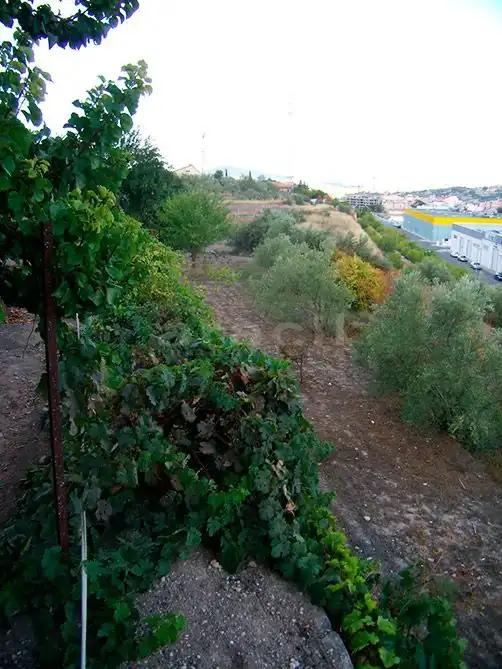 Appartamento con giardino in vendita a Partida Cotes Altes, imagen 13