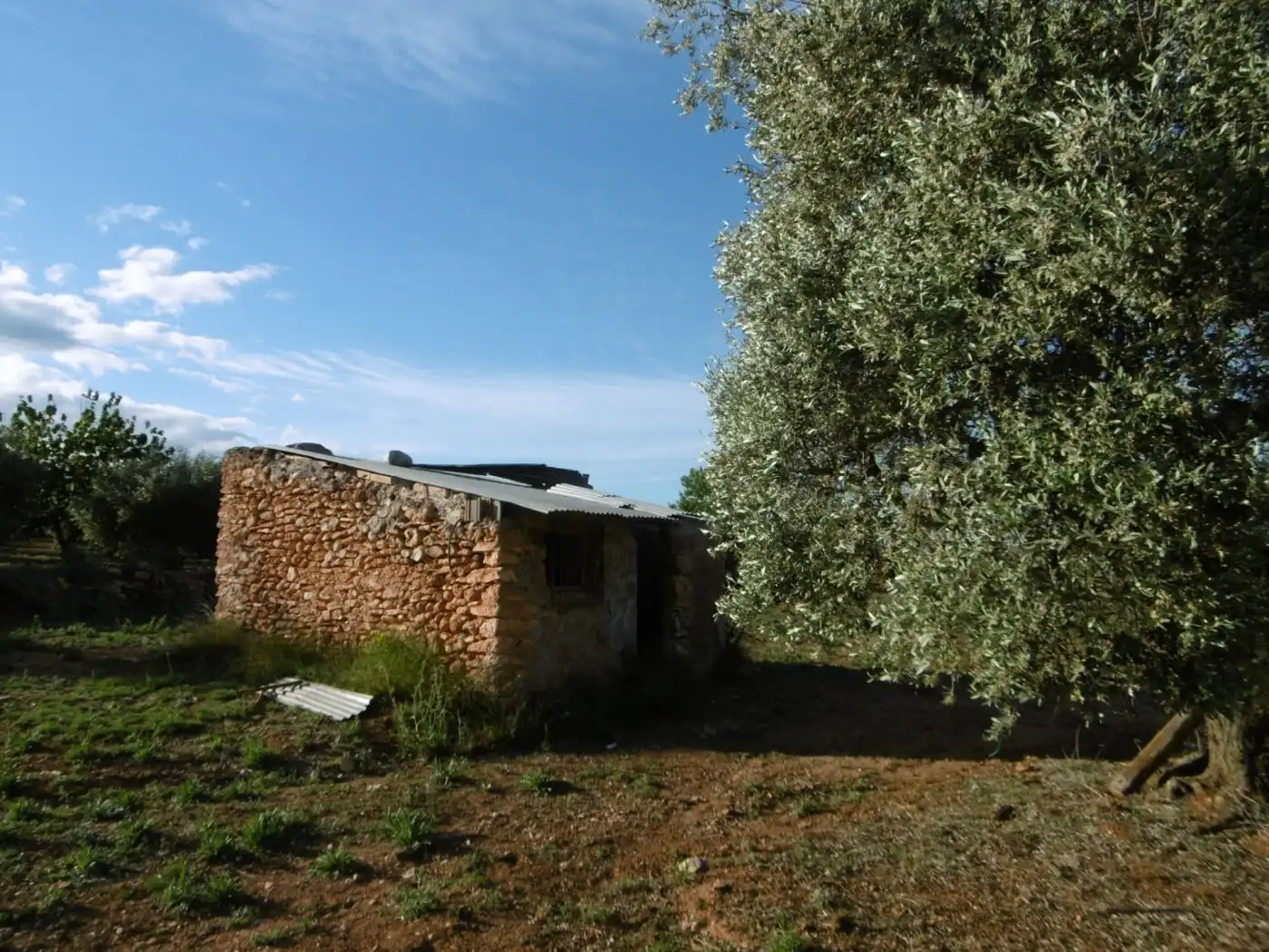 Terrenys i solars en venda a Vall d'Alba, imagen 3
