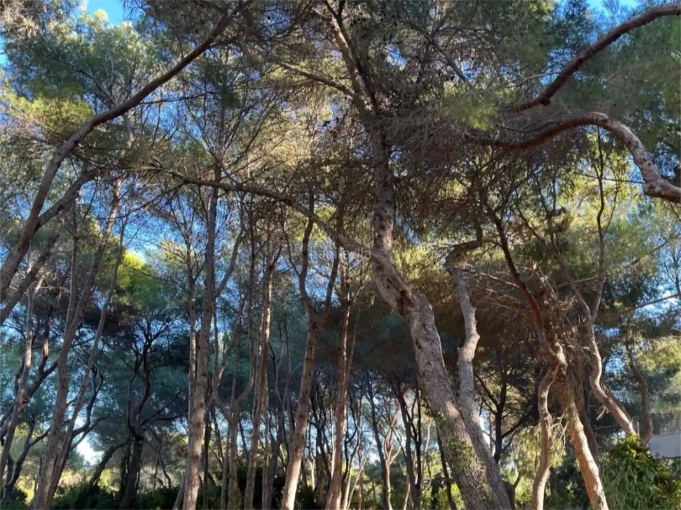 Pis amb piscina de lloguer a Avenida Gola del Puchol 6, imagen 2