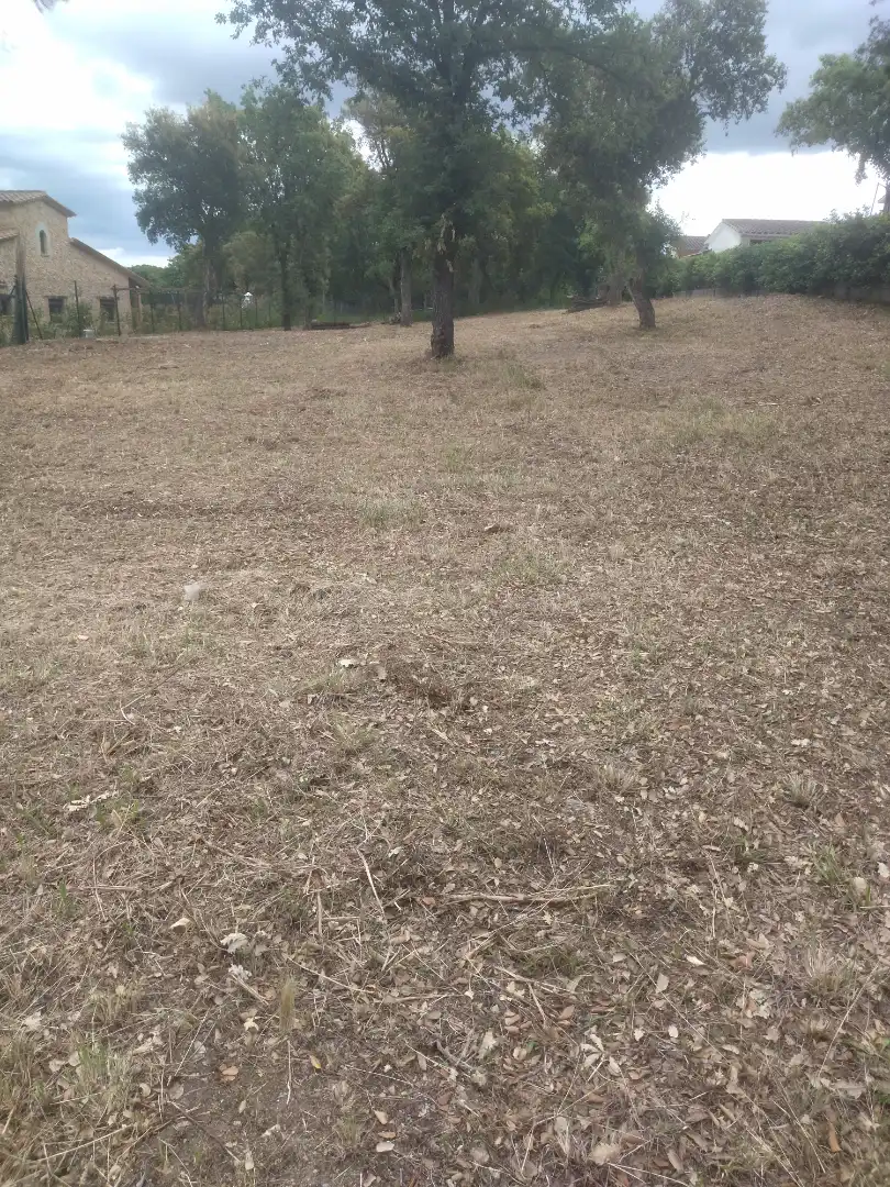 Residential land for sale in Avinguda d'Espanya 39, imagen 2
