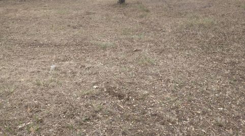 TE004. Llagostera, parcel.la per edificar la casa dels teus somnis, immagine 2