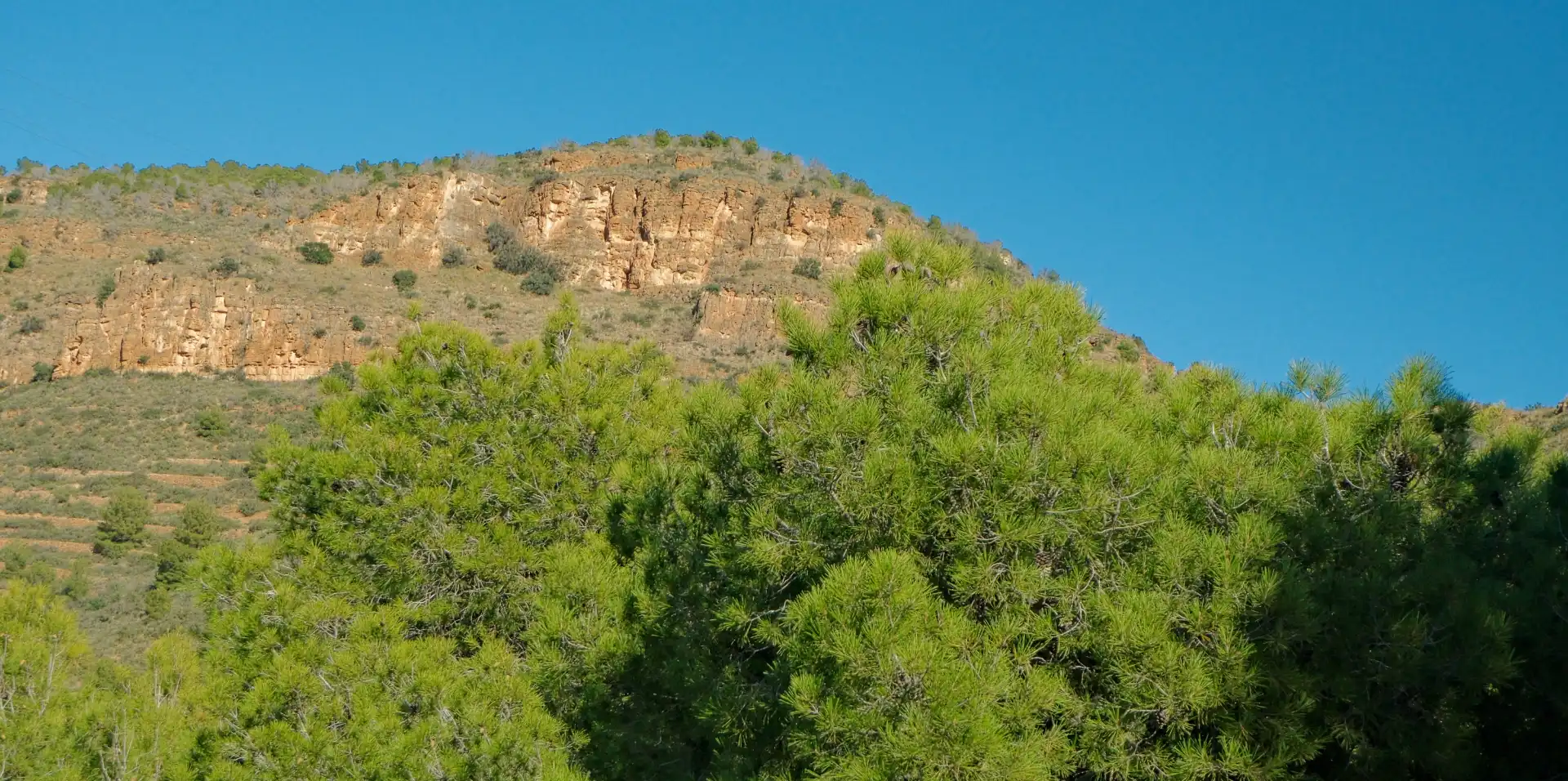 Vista exterior de Casa o xalet de lloguer en Sagunto / Sagunt amb Aire condicionat, Calefacció i Jardí privat