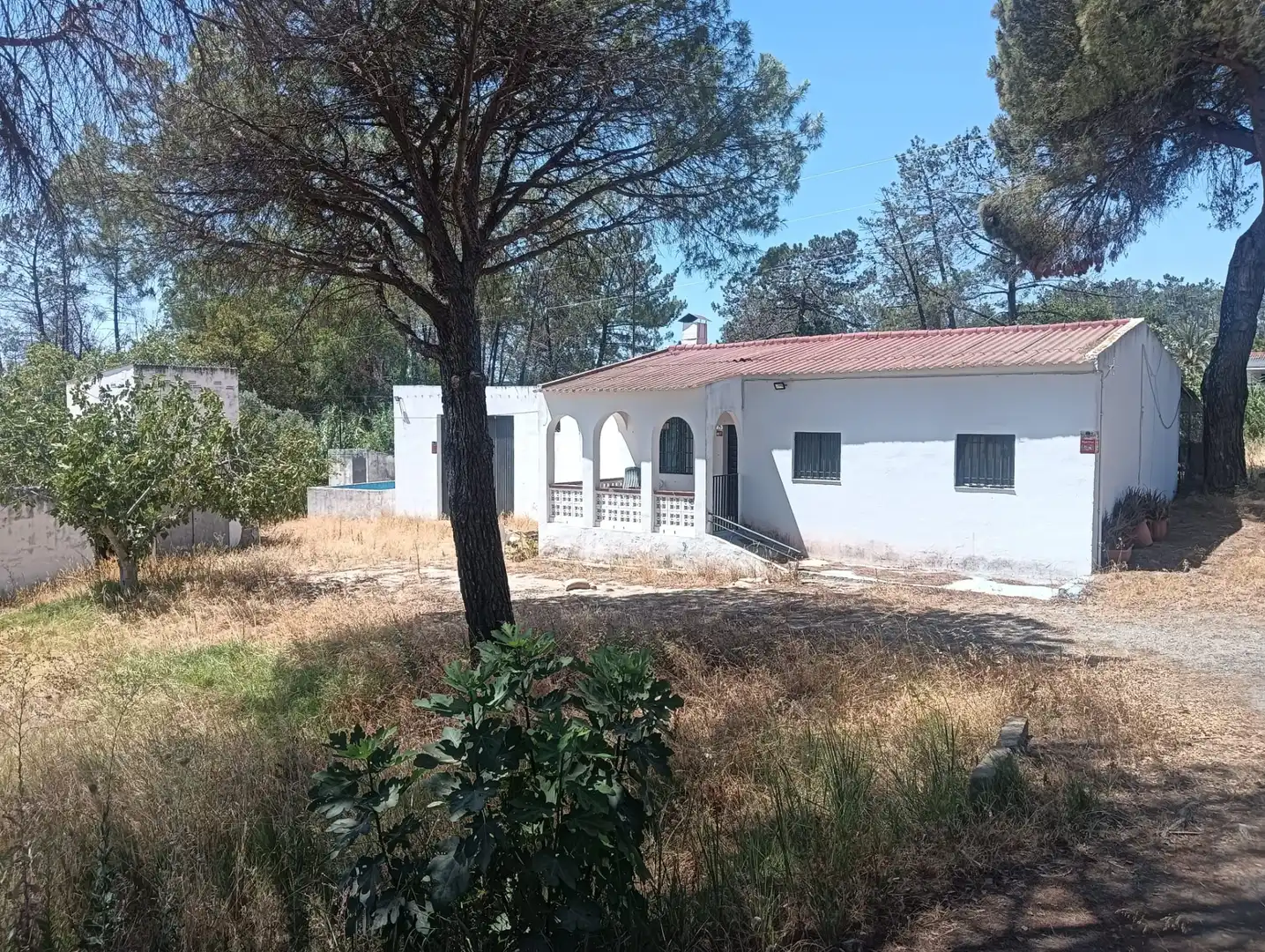 Maison rustique à vendre à Carretera Gibraleón, imagen 3