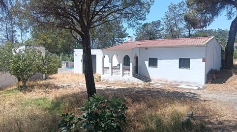 Foto 3 de Finca rústica en venta en Carretera Gibraleón, El Carmen - Cardeñas, Huelva Capital